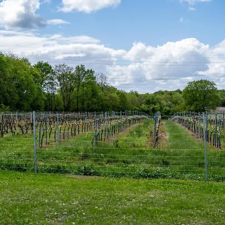 Chapitre 30 Feriehus Grézac